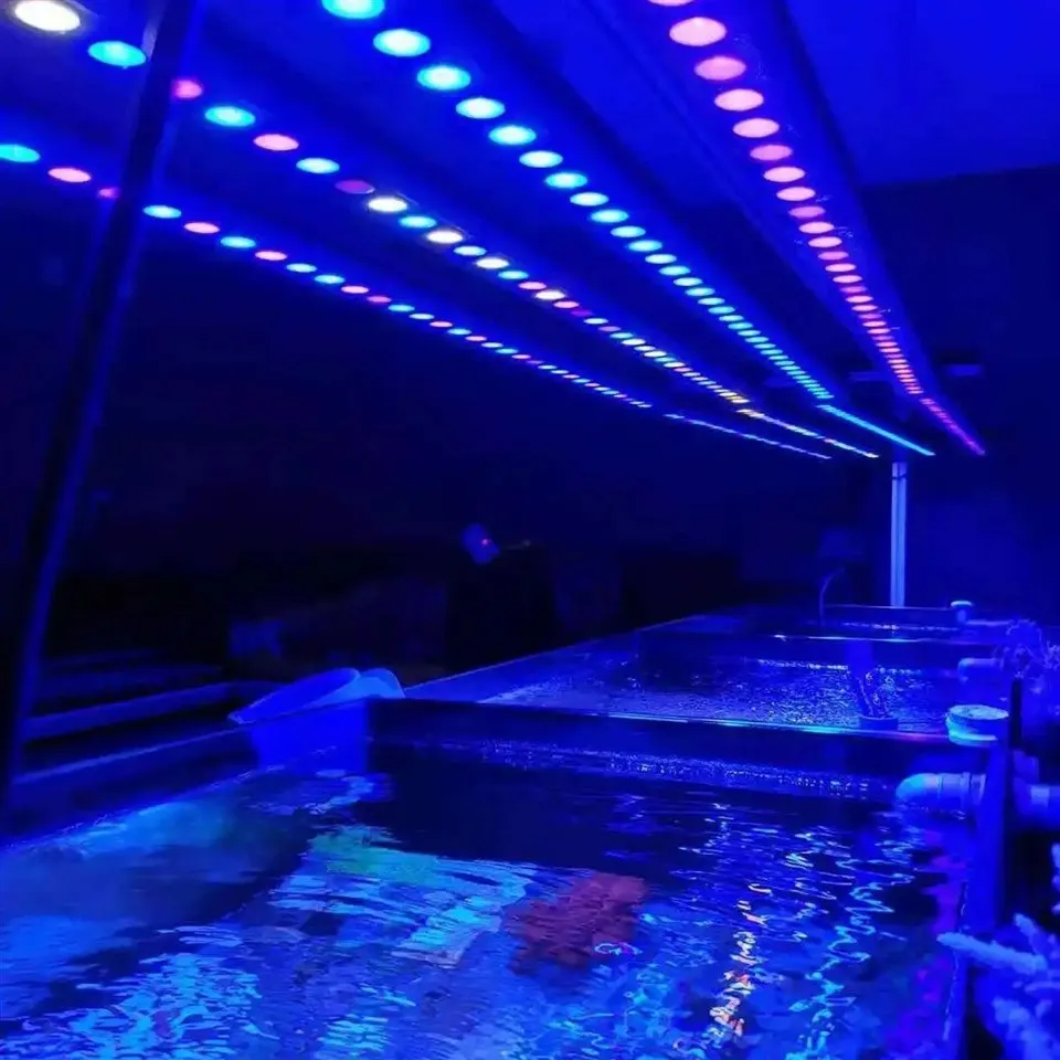 fish tank light bar 07(001)